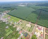 Bán gấp!! đất đấu giá Phú Lộc ngay ủy ban giá thấp hơn thị trường gần 100 triệu.