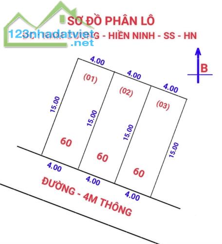 Bán Gấp 60m2 tại Nam Cương - Hiền Ninh - Sóc Sơn. Đường thông,oto vào đất - 3