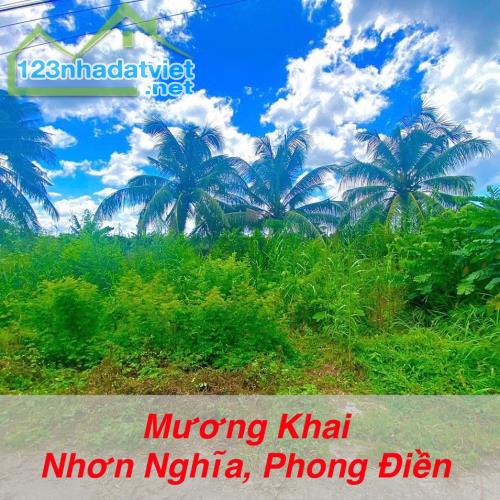 Nền 93,3m2 (7,4*12), Nhơn Nghĩa, Phong Điền, Gần Chợ Vàm Xáng - 2