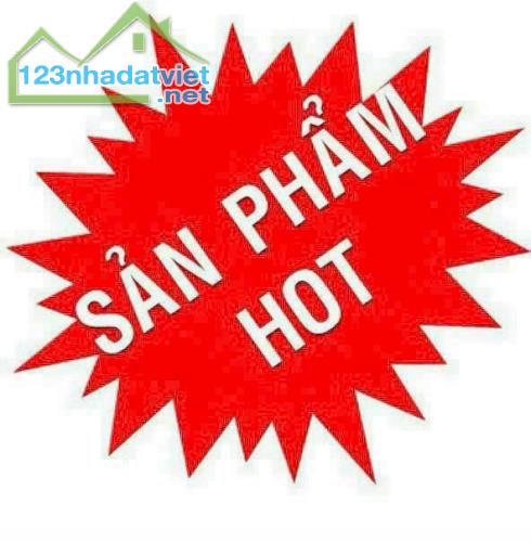 HOT - SIÊU MB HUỲNH TẤN PHÁT 24x43 NGAY TRUNG TÂM QUẬN 7