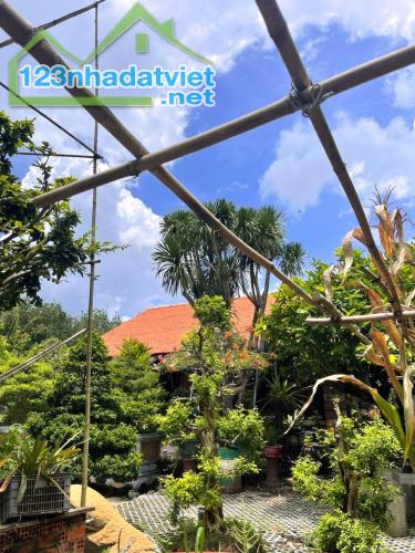 Nhà vườn MT nở hậu Nguyễn Thị Chì CC, 1257m2, 17x78m chỉ 1x tỷ - 4