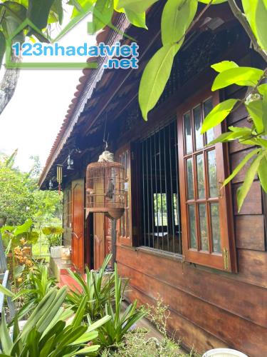 Nhà vườn MT nở hậu Nguyễn Thị Chì CC, 1257m2, 17x78m chỉ 1x tỷ - 3