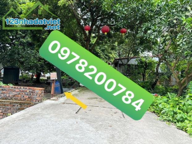 BÁN 74M2 ĐẤT THÔN YÊN HÀ XÃ HẢI BỐI GIÁ 52T/M2