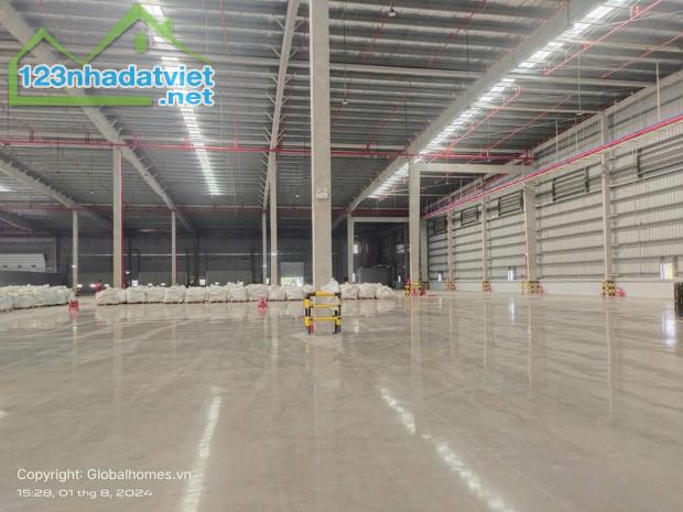 [LA62G1T-23] CHO THUÊ KHO XƯỞNG BẾN LỨC, LONG AN 5000m2, 10.000m2 - 3