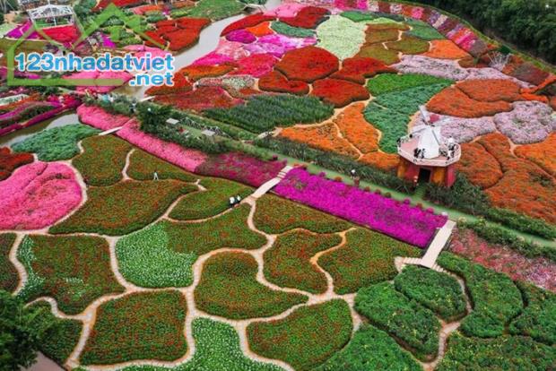 Bán 230m đất thổ cư, Xuân La, Tây Hồ, 3 thoáng, ô tô vào nhà - 1