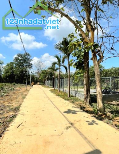 Bán 1100m2, có sẵn 100m2 thổ cư, mặt đường bê tông 28.5m, view hồ Trị An. - 2