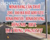 MÌNH ĐANG CẦN THUÊ 200_ 300 HA ĐẤT KHU VỰC  BÌNH PHƯỚC - BÌNH DƯƠNG - ĐỒNG NAI, BRVT.