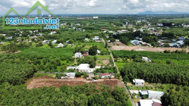 Cần Bán thửa đất vườn diện tích 4000m2 tại xã Phước An Nhơn Trạch Đồng Nai - 1