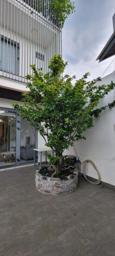 Bán Biệt thự cao cấp khuôn viên 200m2, Nguyễn Văn Bứa chỉ 5.29 tỷ TL. - 2