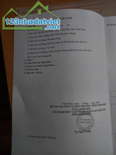 Bán đất trục chính 302 cổng vào Tây Thiên , Đại Đình, Tam Đảo Diện tích 95m2 - 4