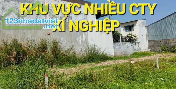 1339m2 Đất 20 x 60 = 9,5 tỷ Nguyễn Thị Nói Trung An Củ Chi TPHCM - 3