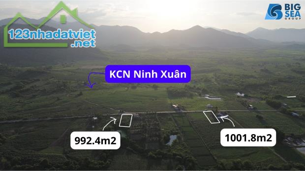 Chính chủ cần bán gấp lô đất 992m2 tại Ninh Xuân gần khu công nghiệp full thổ cư - 5