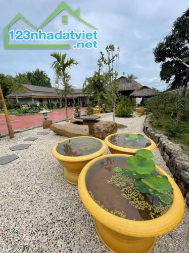 🍏Bán Nhà vườn View Suối (1,5 sào thổ cư 400) hẻm Quốc Lộ 14 xã Hòa Phú, Buôn Mê Thuột . - 3