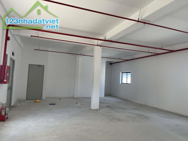 BÁN KHO XƯỞNG SẢN XUẤT – KHU ĐƯỜNG  NGÔ QUYỀN - 3.200M2 - 25 TỶ - SƠN TRÀ - KCN THỌ QUANG