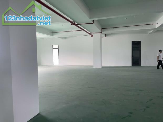 BÁN KHO XƯỞNG SẢN XUẤT – KHU ĐƯỜNG  NGÔ QUYỀN - 3.200M2 - 25 TỶ - SƠN TRÀ - KCN THỌ QUANG - 1