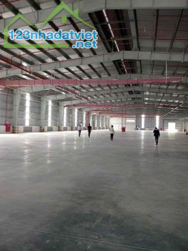 CHO THUÊ KHO XƯỞNG 50.000M2 HUYÊN CẦN GIUỘC - 3