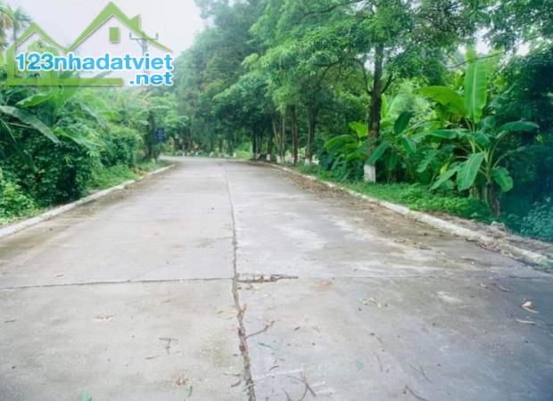 Bán đất Gia Minh, Thủy Nguyên, Hải Phòng  900 triệu, 1440m2 đất trồng cây+1440m2 đất 0,5% - 1