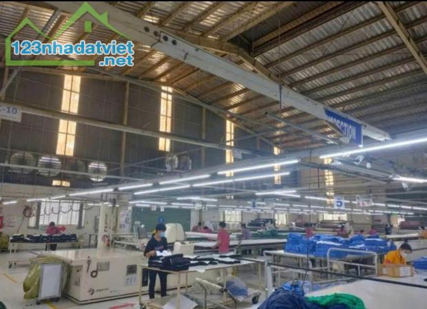 Cho thuê xưởng 9500m2 tại Thuận Giao, Thuận An, Bình Dương. - 3