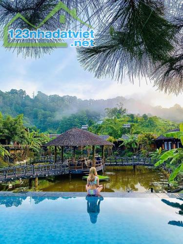 Cần cho thuê homestay đối diện resort doidep , cách trung tâm 12km - 1