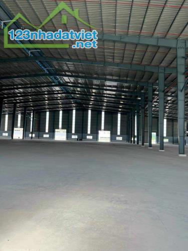 Cho thuê nhà xưởng 16.000m2 trong KCN Bến Lức, Long An - 1