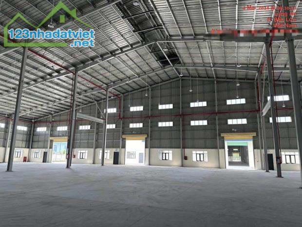 Cho thuê nhà xưởng 16.000m2 trong KCN Bến Lức, Long An - 3