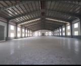 Cho Thuê 1.800m2 Kho Xưởng Trong KCN TP Mới Bình Dương Giá 3.8usd - 4.2usd