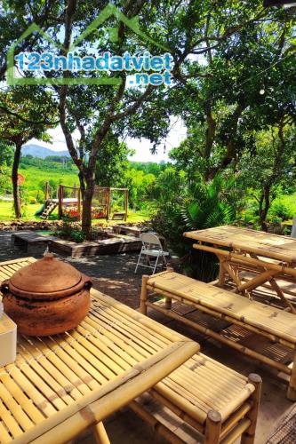 🍏Bán Homestay 3,7 sào(2tỷ800tr) cách Buôn Ma Thuột 5km, cách Tỉnh Lộ 5 tầm 200m - 4