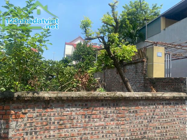 Bán 100m2 đất Sơn Du Nguyên Khê Đông Anh, Hà Nội - 1