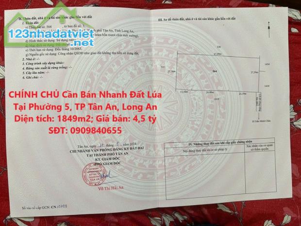 CHÍNH CHỦ Cần Bán Nhanh Đất Lúa Tại Phường 5, TP Tân An, Long An