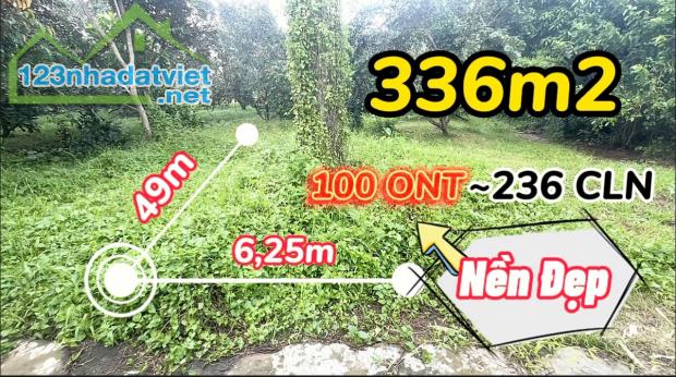 🔥650tr🔥Nền Đẹp 336m2 Có 100 Thổ Cư, Cách Chợ Phong Điền 2,5km ~ 1,9tr/m2