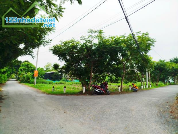 BÁN ĐẤT TRẦN THỊ GIANG, HƯNG LONG, BÌNH CHÁNH 900M2, GIÁ 10 TỶ - 2