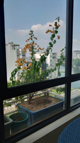 APARTMENT HỒ TRÚC BẠCH, 2 MẶT THOÁNG - NỘI THẤT XỊN – VỈA HÈ RỘNG THOÁNG - DÒNG TIỀN CAO - 5