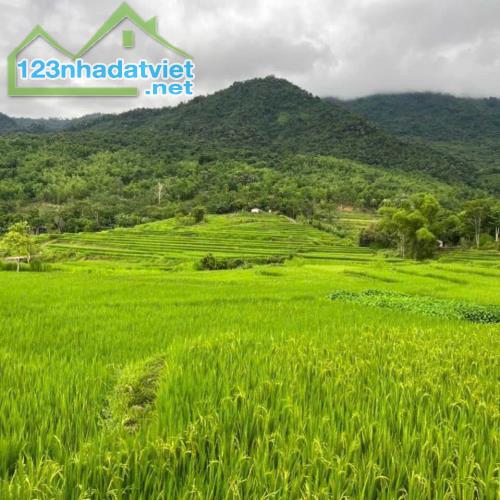 Bán 10.000m2 đất Mai Châu Hòa Bình 150m2 thổ cư còn lại đất vườn tại Cun Pheo, Mai Châu, H - 1