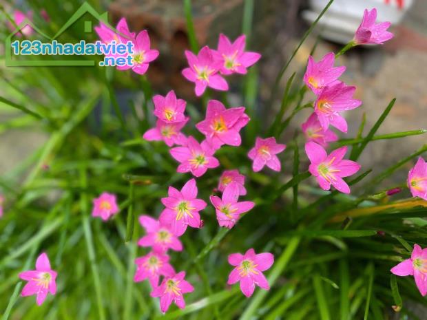 ❇️❇️Chiết khấu lên đến 10% Biệt thự IRIS - liền kề DAHLIA- Ecogarden Huế 🔹Biệt thự Iris v - 2