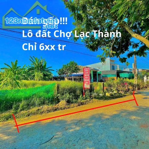 🐉THIẾU VỐN ĐẦU TƯ: BÁN NHANH ĐẤT TX. ĐIỆN BÀN ĐỂ LẤY TIỀN GẤP!🐉 - 2