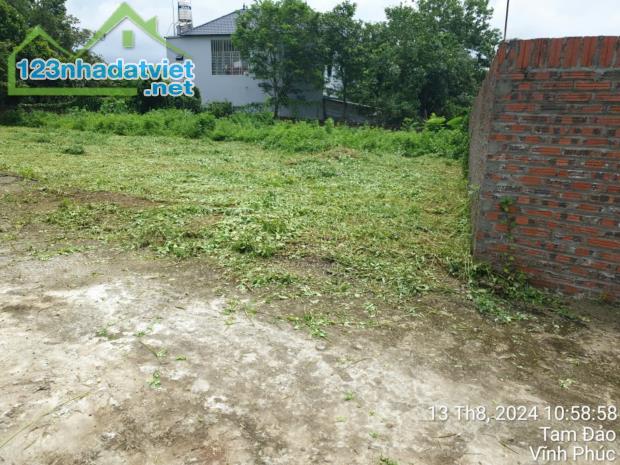 Bán hơn 500m2 Kiên Tràng, Tam Quan, Tam Đảo. Giá 4.8tr/m2 - 3