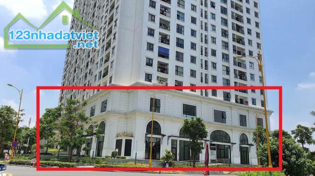 Bán Shophouse Chân Đế Eco Lake View,  Diện tích 350m2 giá 65 triệu/m2 - 1