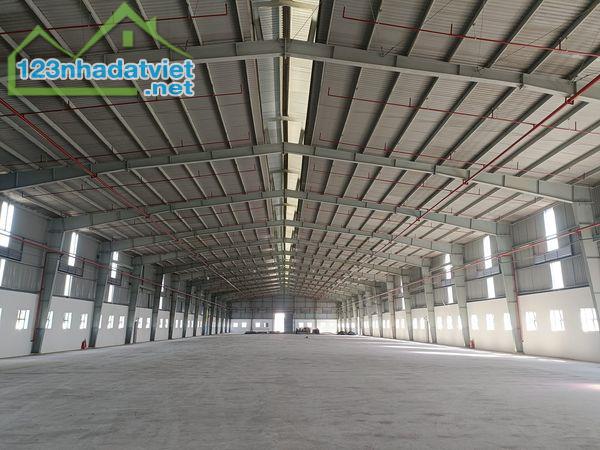 CHO THUÊ KHO XƯỞNG 6000M2 ĐƯỜNG 835 HUYÊN CẦN GIUÔC - 2