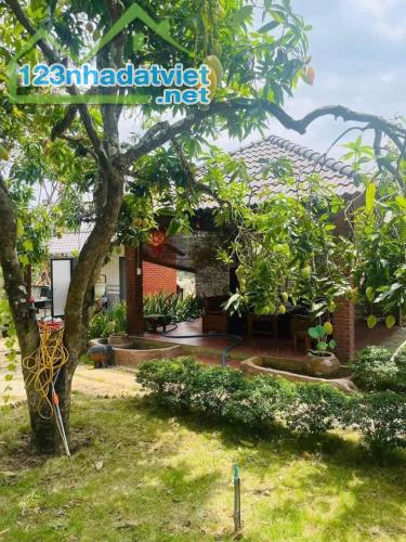 Bán gấp đất xây kho, xưởng nhà cho thuê ngang 40m đường nhựa Hương Lộ 2, Trảng Bàng - 2