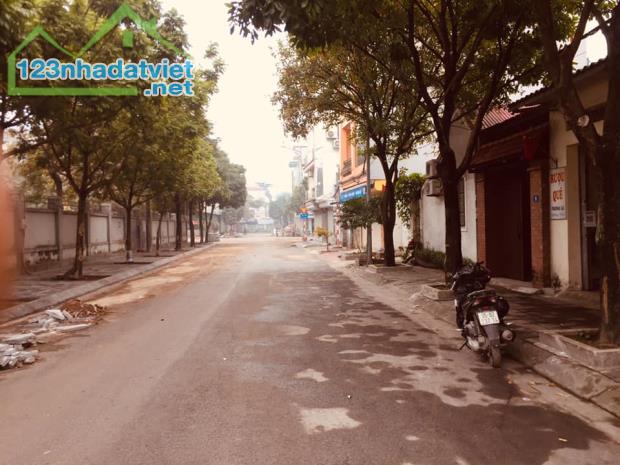 Đất Vân Nội 48m2, ôtô lùi cửa, mặt tiền rộng vuông đẹp, cách ôtô tránh 30m, 2.5 tỷ