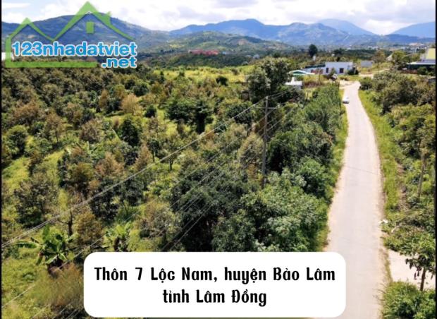 BÁN ĐẤT LỘC NAM CHÍNH CHỦ 3  MẶT TIỀN BẢO LÂM LÂM ĐỒNG - 1