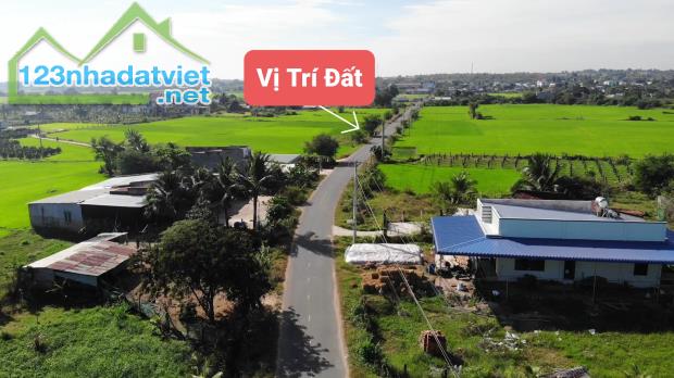 Mặt tiền đường nhựa 20m gần trường tiểu học Thuận Minh chỉ 490 triệu/lô - 2