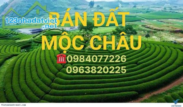 Chỉ 1,5tr/m2. Bán đất nghỉ dưỡng Mộc Châu vị trí vàng, giá siêu tốt! Đất view đẹp - 2