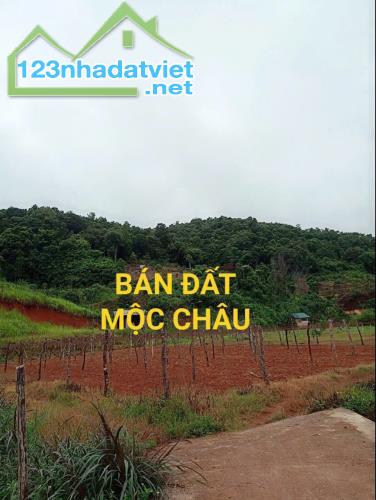 Chỉ 1,5tr/m2. Bán đất nghỉ dưỡng Mộc Châu vị trí vàng, giá siêu tốt! Đất view đẹp - 4