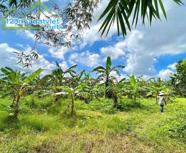 BÁN ĐẤT CHÍNH CHỦ - VIEW HỒ TRỊ AN- LA NGÀ- ĐỊNH QUÁN- ĐỒNG NAI