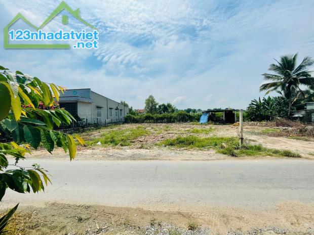 Đất mặt tiền đường số 5 Tân Thông Hội Củ Chi, Diện tích 251m2, Sổ hồng riêng - 5