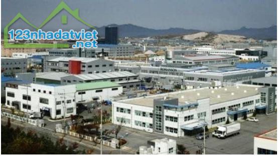 BÁN LÔ ĐẤT 385M2 NGAY TP BẾN CÁT, GIÁ 760tr DÂN CƯ ĐÔNG, SAN SÁT CÁC KHU CÔNG NGHIỆP - 5