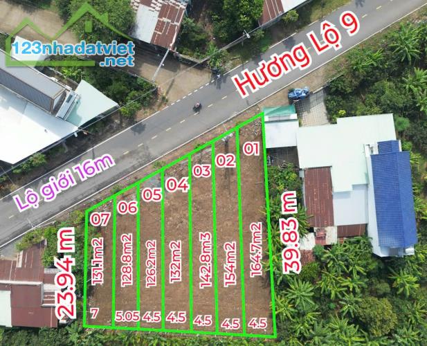 7 lô đất nền tại đường KDL Bửu Long - 1