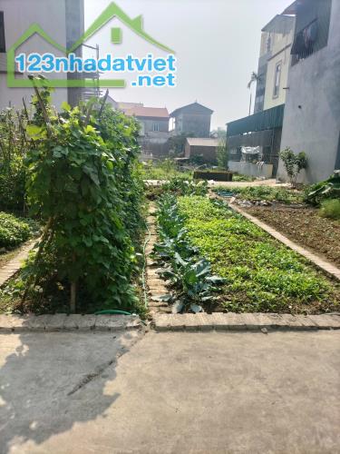 BÁN ĐẤT 2 MẶT TIỀN - TỔ 9, THỊ TRẤN QUANG MINH, MÊ LINH, HÀ NỘI - 2