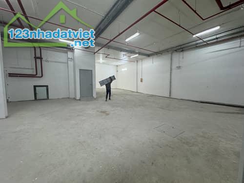 Y8YYRK 🏬 Tòa Building Nguy Nga 9 Tầng, Diện Tích Lớn, Dòng Tiền Lợi Nhuận Cao